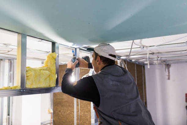 Best Insulation Maintenance and Repair in Seminole Manor, FL