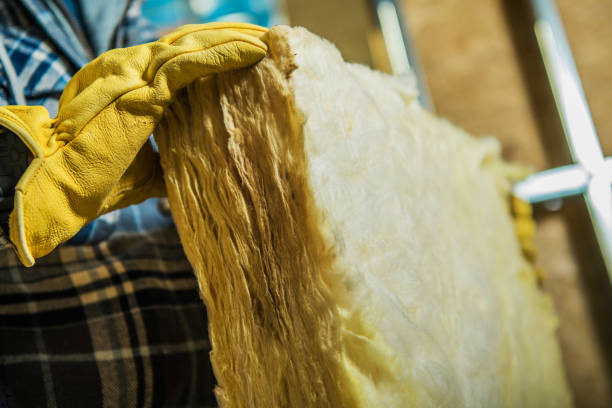 Types of Insulation We Offer in Seminole Manor, FL