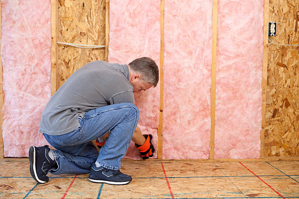 Best Energy Efficiency Insulation in Seminole Manor, FL