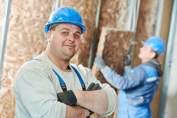 Best Residential Insulation in Seminole Manor, FL
