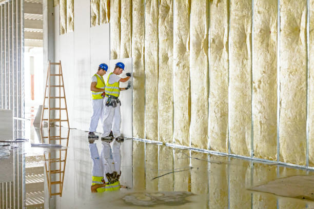 Best Geographic-Specific Insulation Services in Seminole Manor, FL